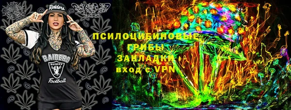 стаф Богданович